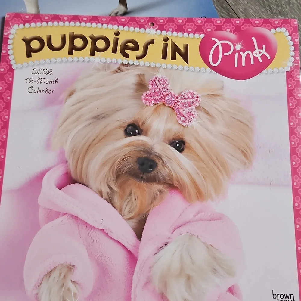 2026 Beautiful Pink Puppies Hummingbirds Wildflowers Pictures Calender Lot